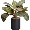 Kwantum Kunstplant Calathea Groen