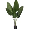 Kwantum Kunstplant Strelitzia Groen