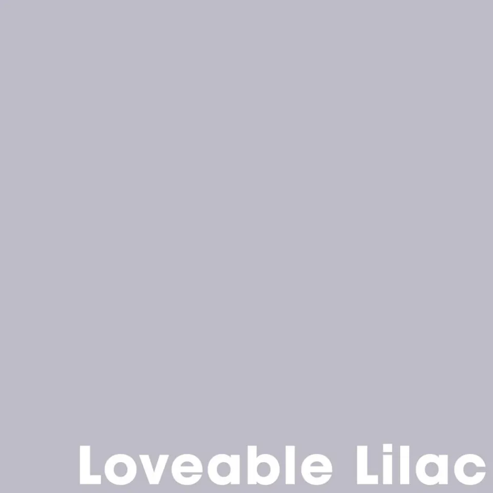 Kwantum Muurverf Professional Loveable Lilac 1 L
